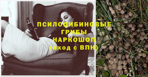 метадон Армянск