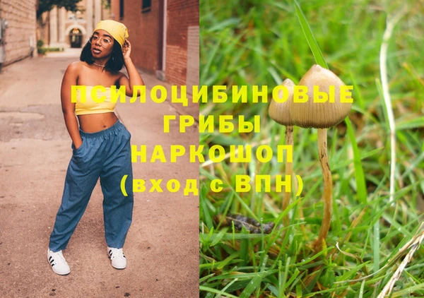 метадон Армянск