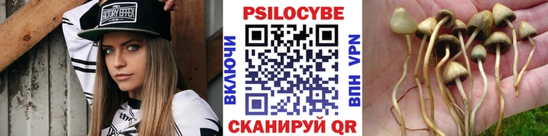 Псилоцибиновые грибы Magic Shrooms  hydra зеркало  Рославль  купить наркотик 